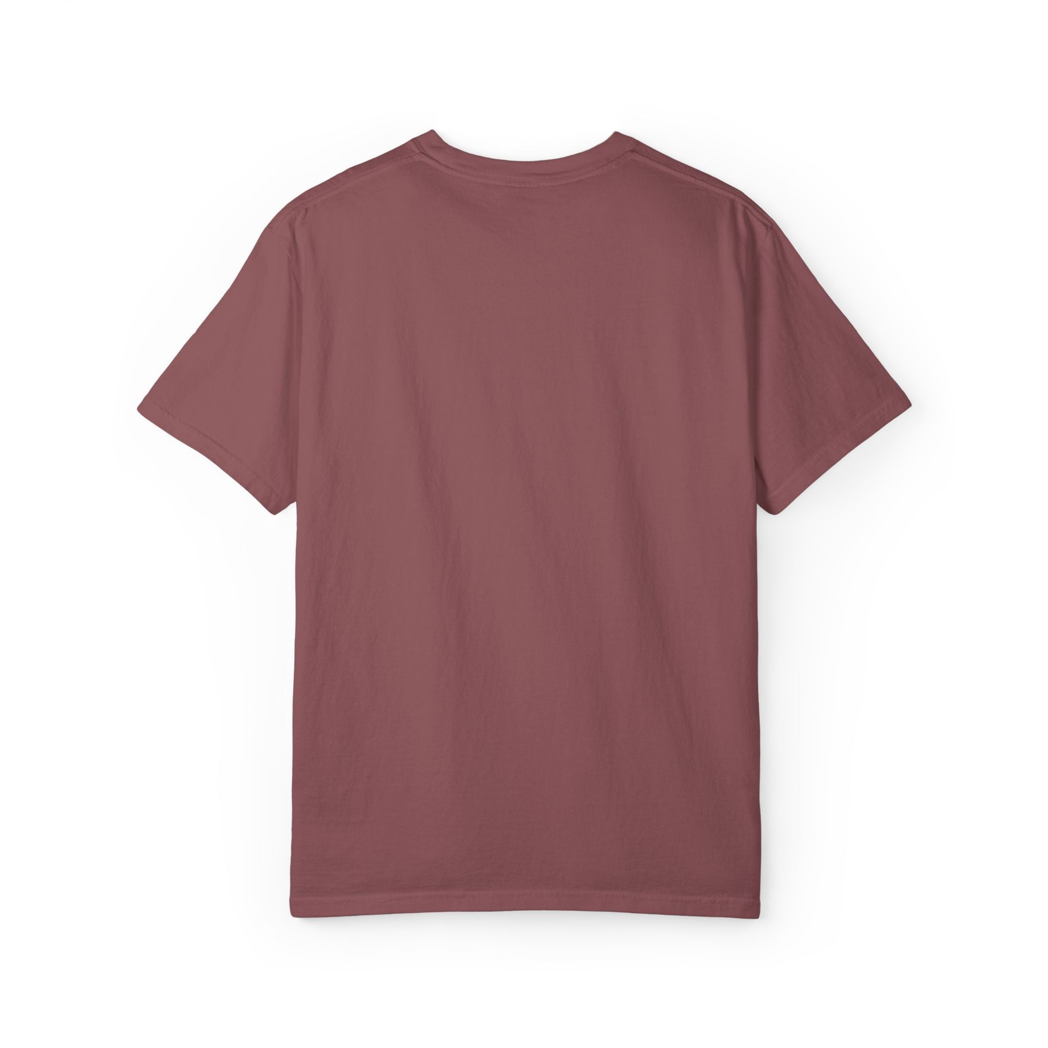 No Kings Embroidered Comfort Colors® T-Shirt | Political Statement Tee