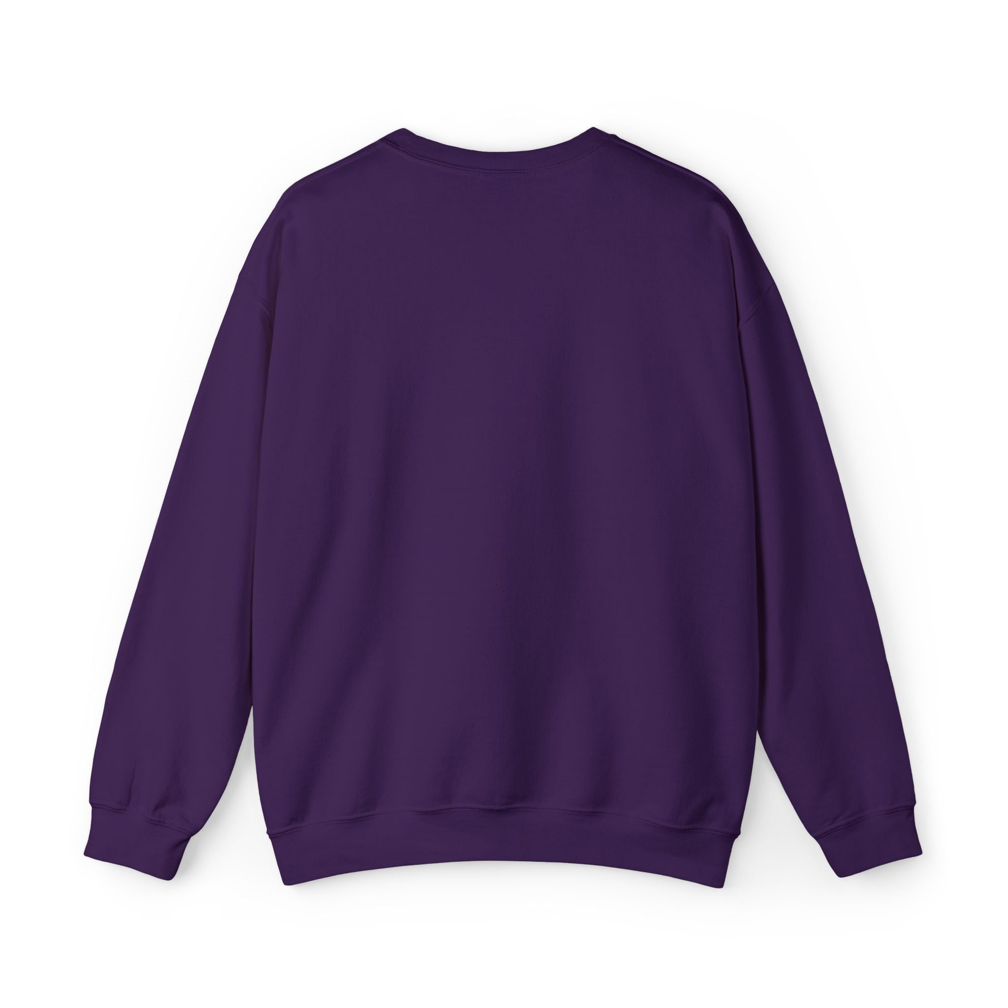 Believe Women Embroidered Sweatshirt | Feminist Statement Crewneck | Women's Rights Embroidered Pullover