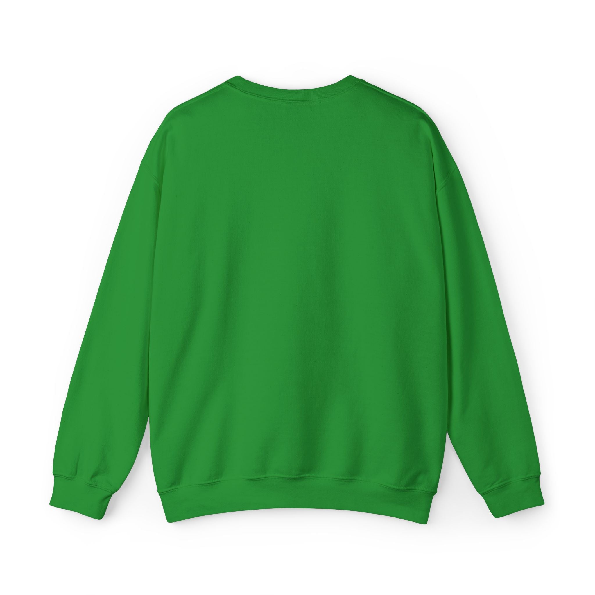 Believe Women Embroidered Sweatshirt | Feminist Statement Crewneck | Women's Rights Embroidered Pullover
